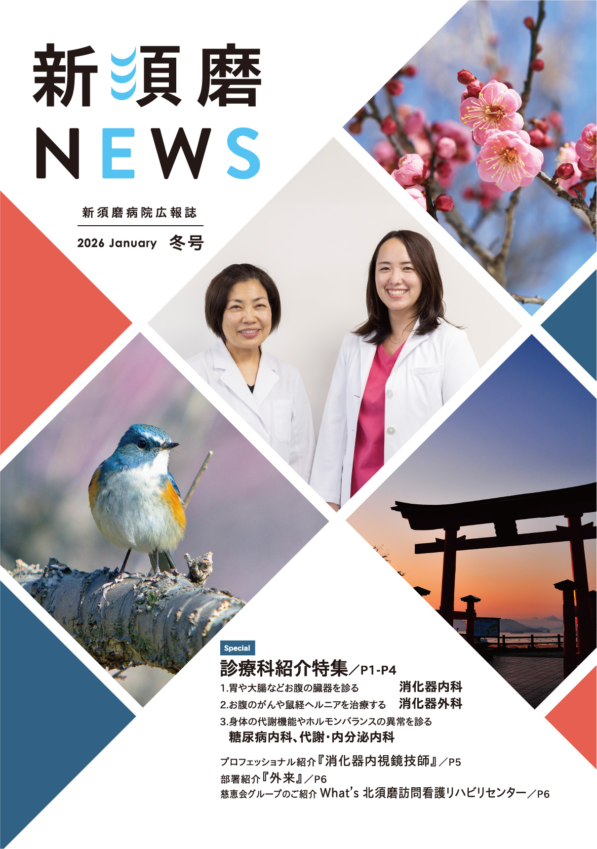 記事タイトル1-2